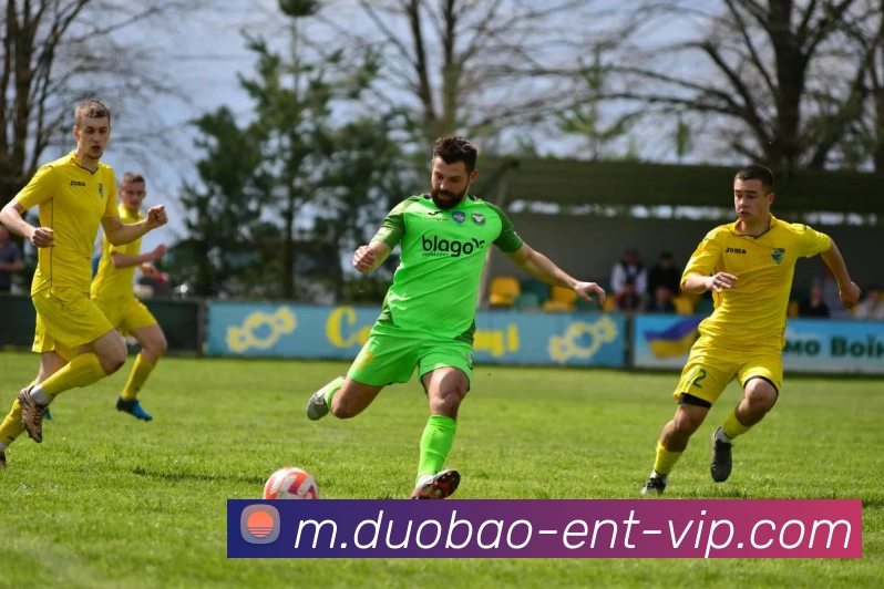 多宝娱乐服务体系